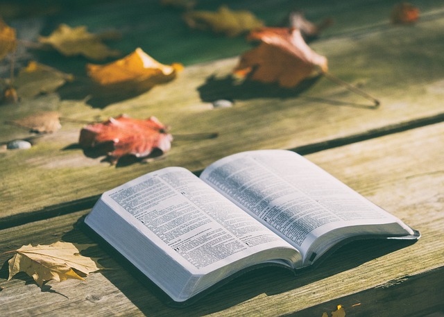 ¿Cuál es el nombre de David en la religión?